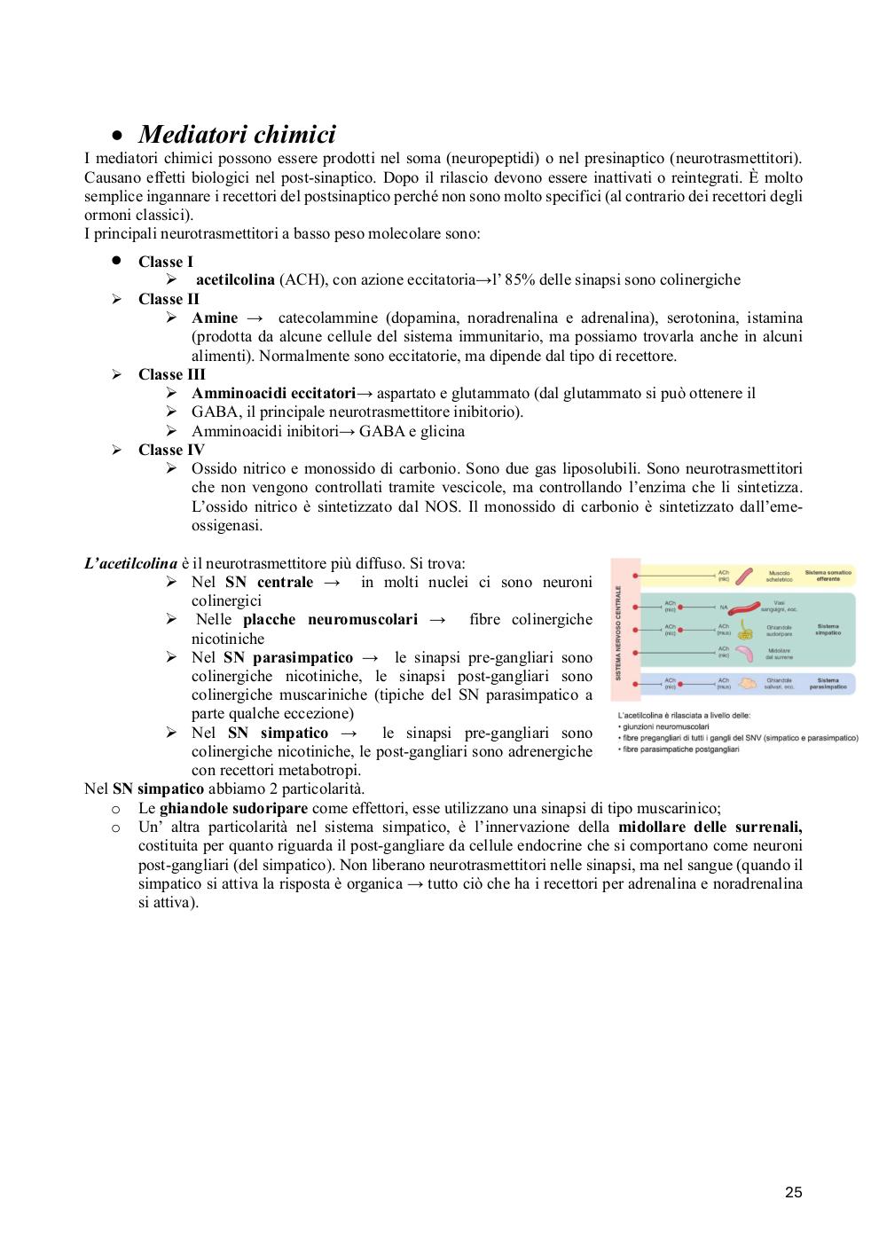 Preview documento per pagina 25