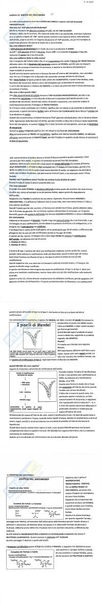 Preview documento per pagina 2