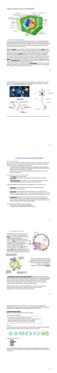 Preview documento per pagina 20