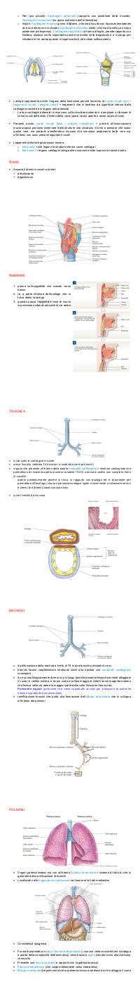 Preview documento per pagina 44