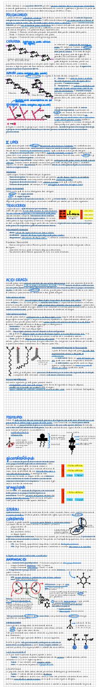 Preview documento per pagina 32