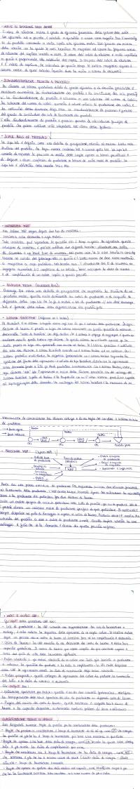 Preview documento per pagina 2