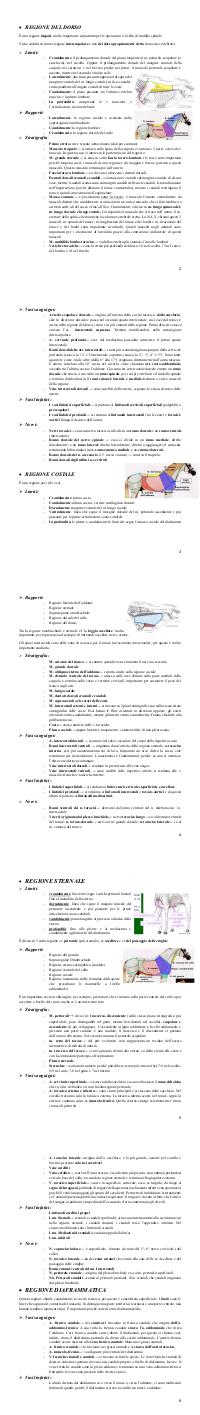 Preview documento per pagina 2