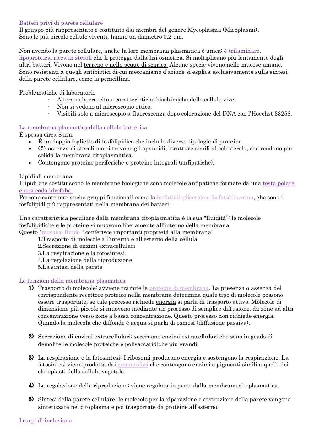 Preview documento per pagina 7
