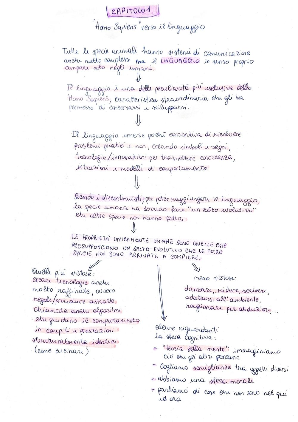Preview documento per pagina 7