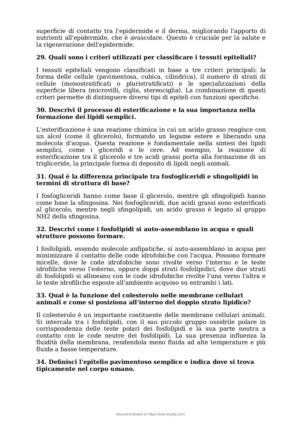 Preview documento per pagina 7