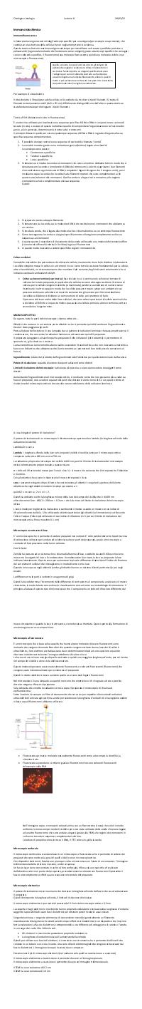 Preview documento per pagina 62