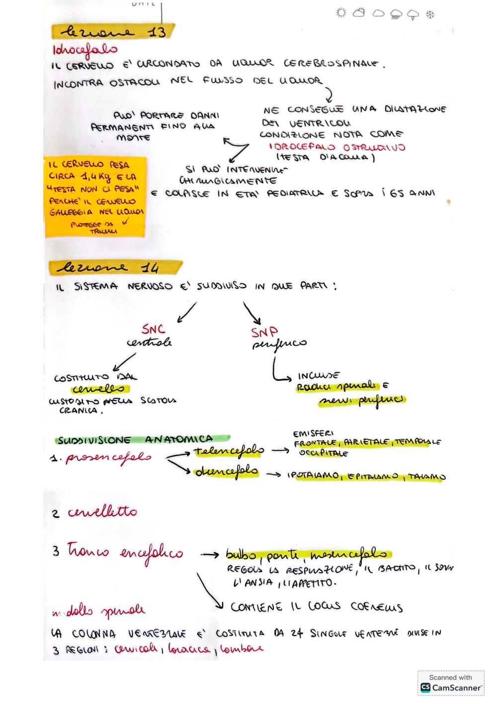 Preview documento per pagina 11