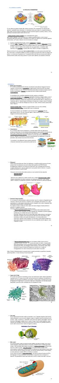 Preview documento per pagina 14