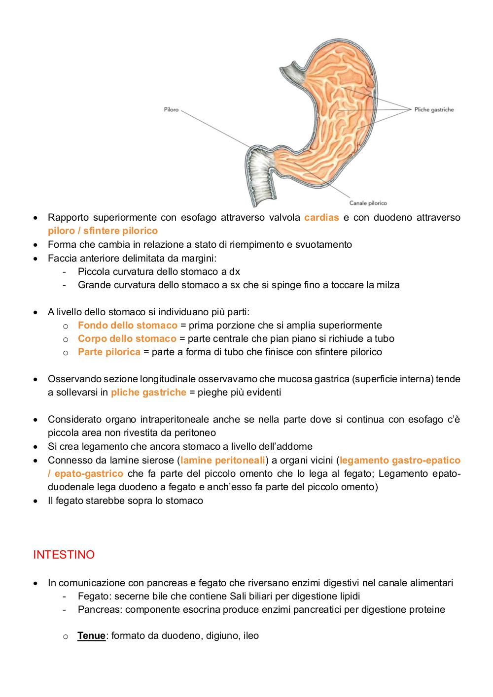 Preview documento per pagina 67