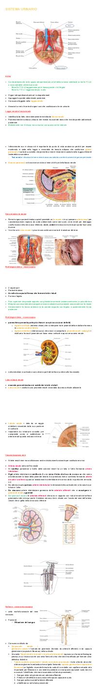 Preview documento per pagina 74