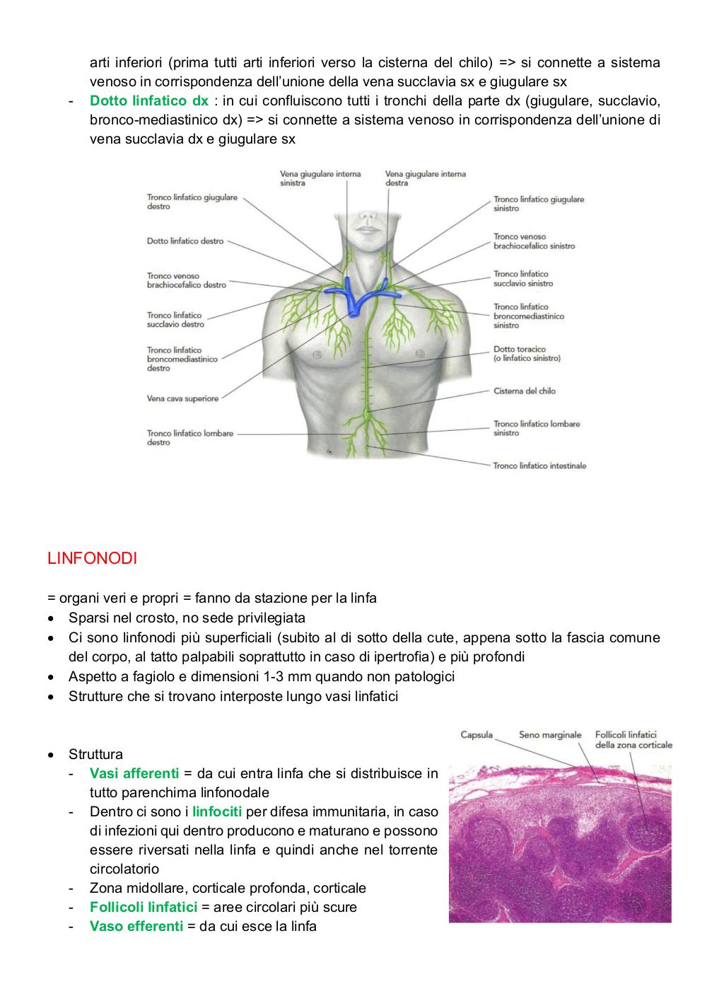 Preview documento per pagina 37