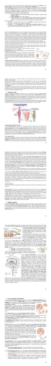 Preview documento per pagina 32