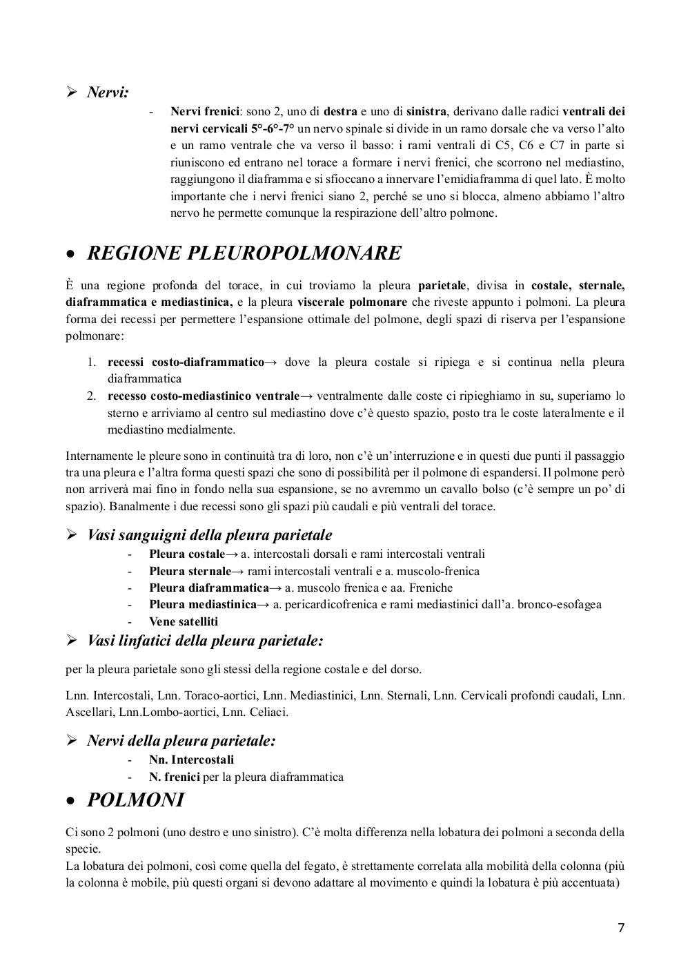 Preview documento per pagina 7