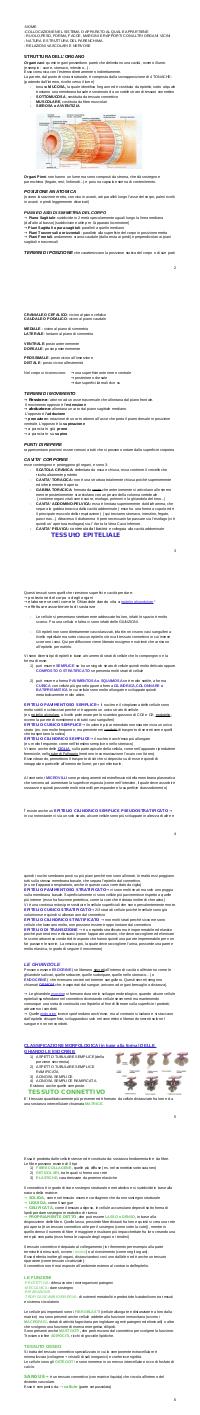 Preview documento per pagina 2