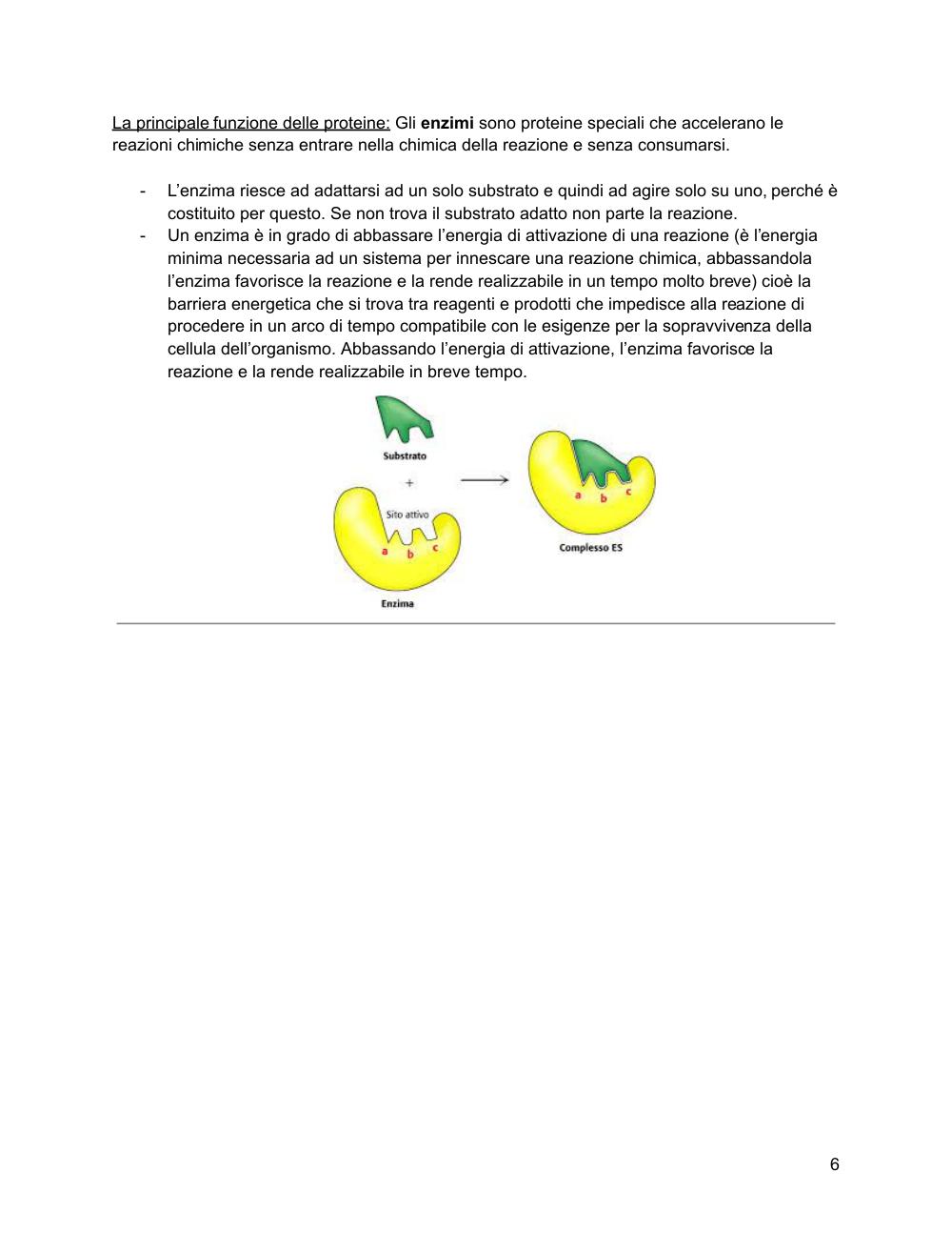Preview documento per pagina 7