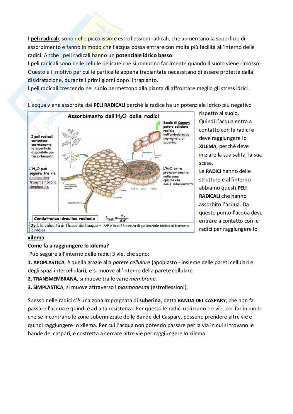 Preview documento per pagina 6