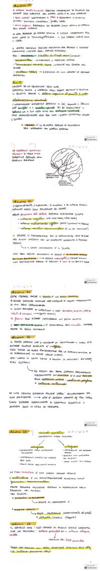 Preview documento per pagina 22