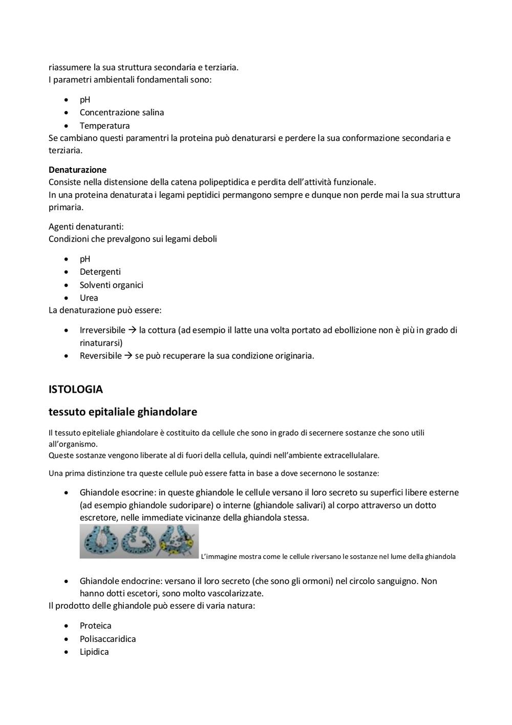 Preview documento per pagina 25