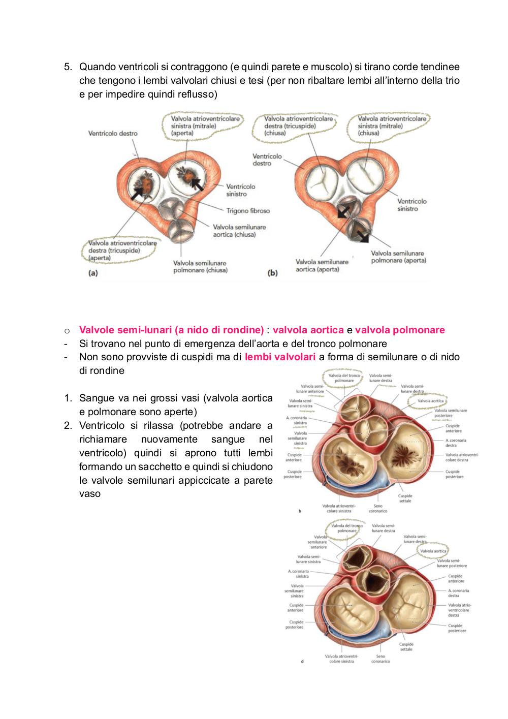 Preview documento per pagina 19