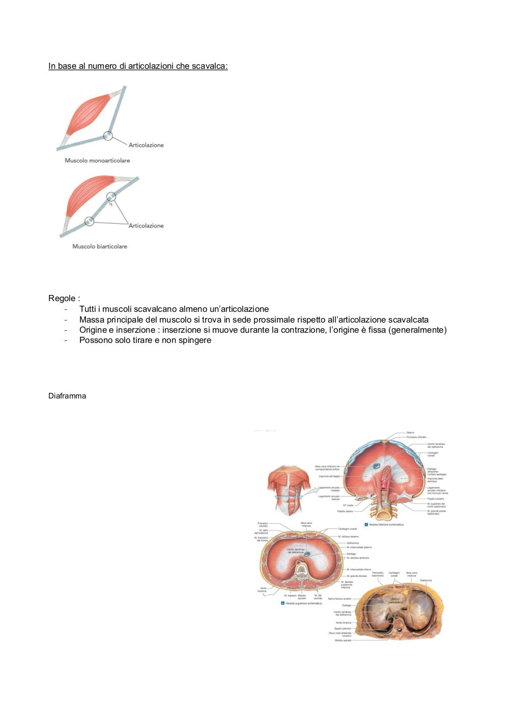 Preview documento per pagina 13