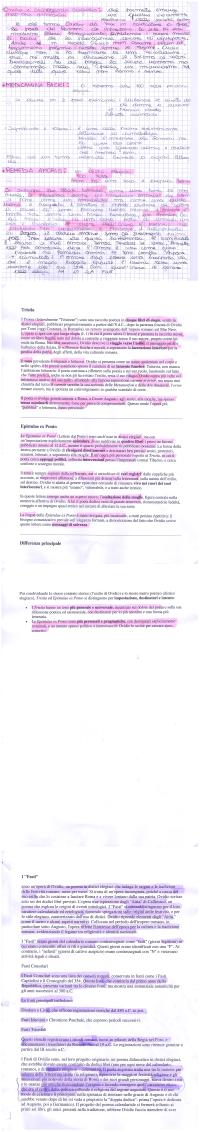 Preview documento per pagina 7