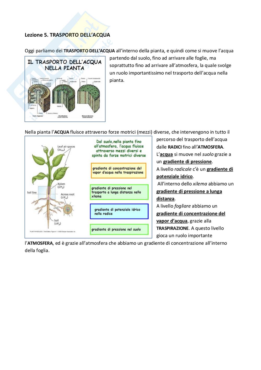 Preview documento per pagina 1