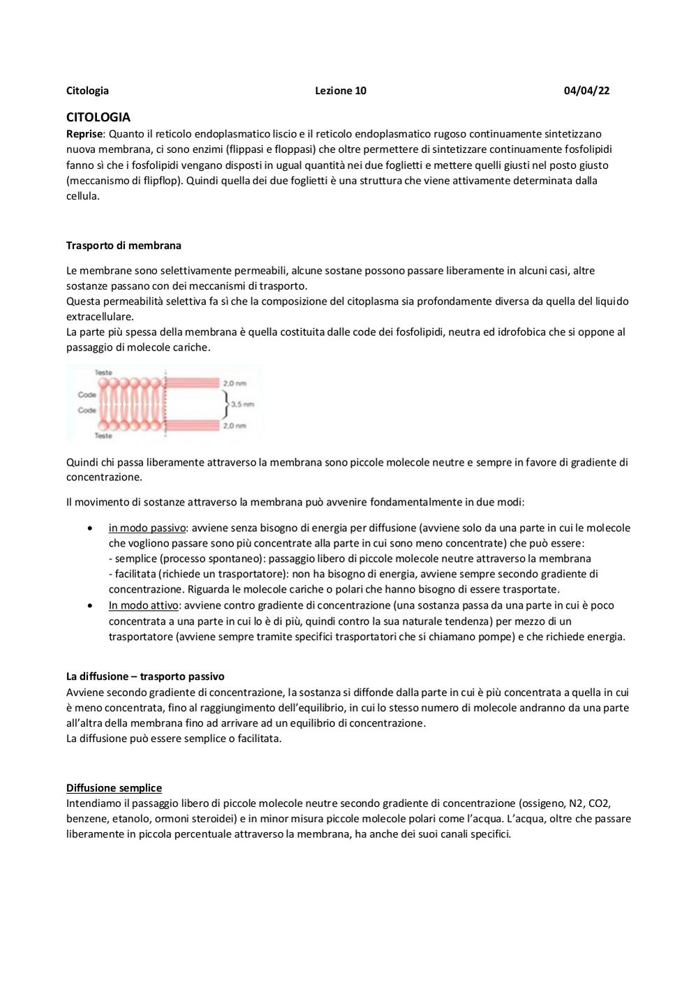 Preview documento per pagina 79