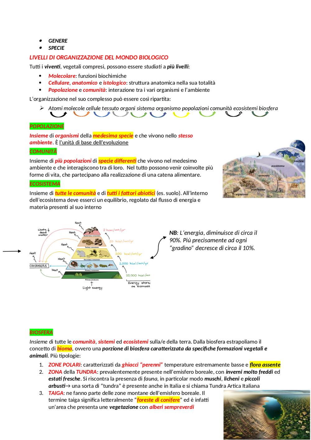 Preview documento per pagina 7