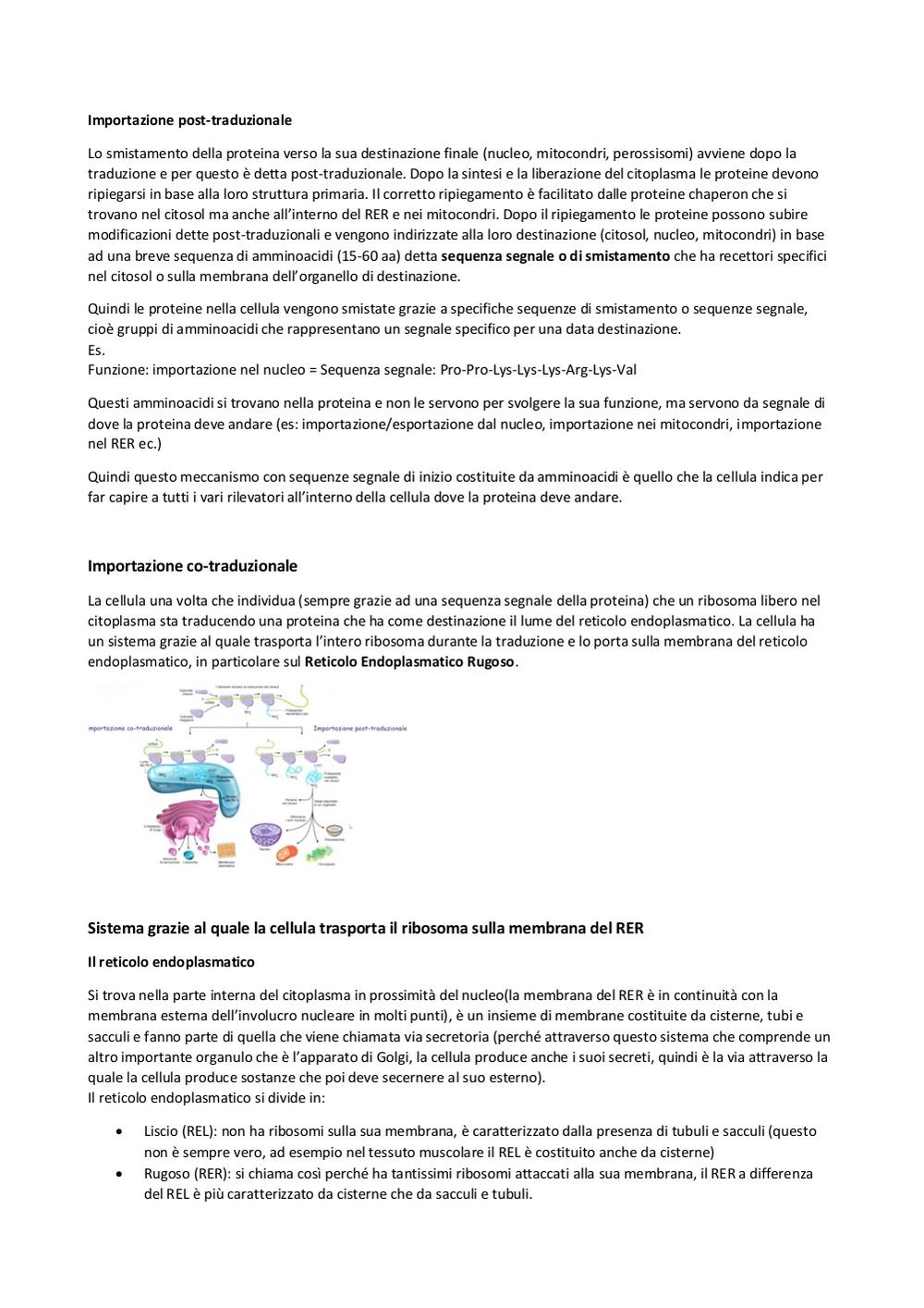 Preview documento per pagina 97