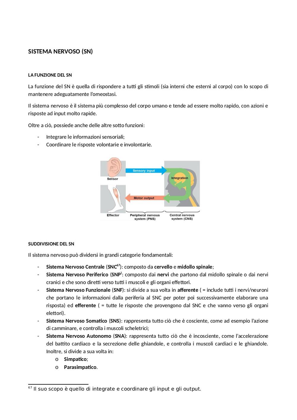 Preview documento per pagina 43
