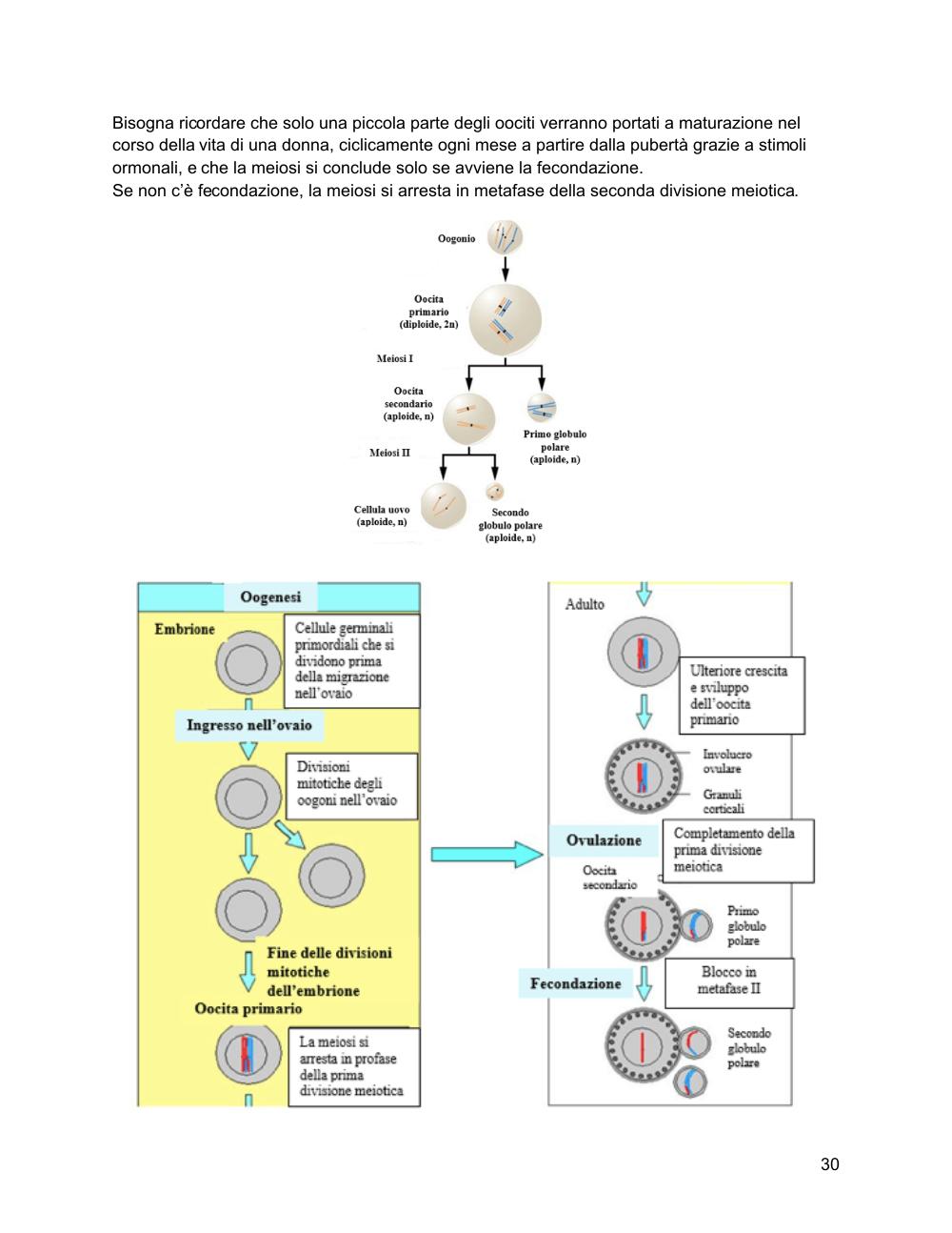Preview documento per pagina 31