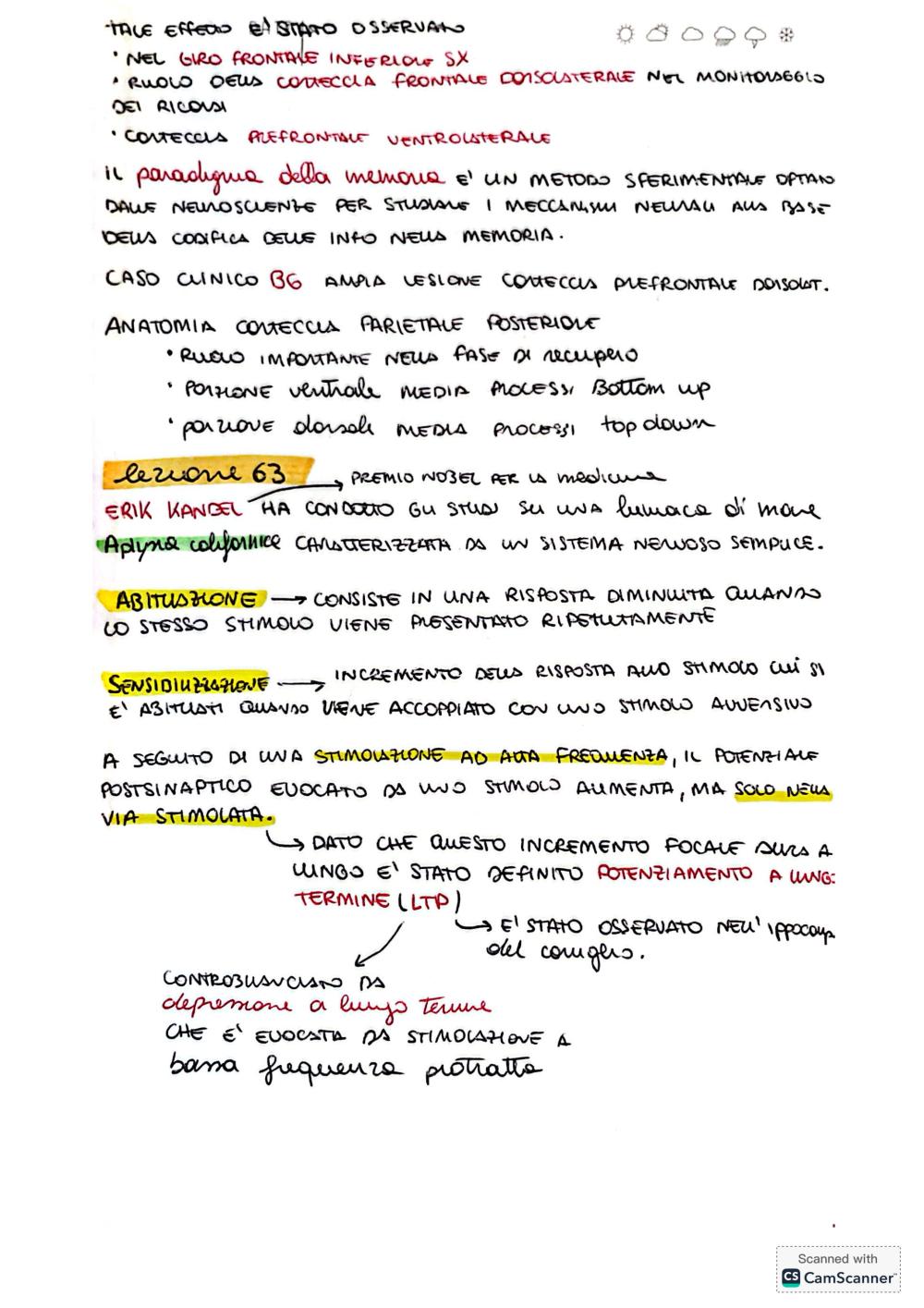 Preview documento per pagina 41