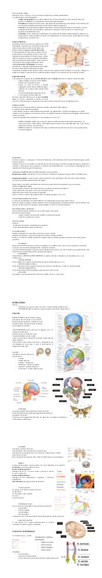 Preview documento per pagina 2