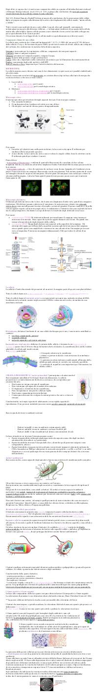 Preview documento per pagina 2