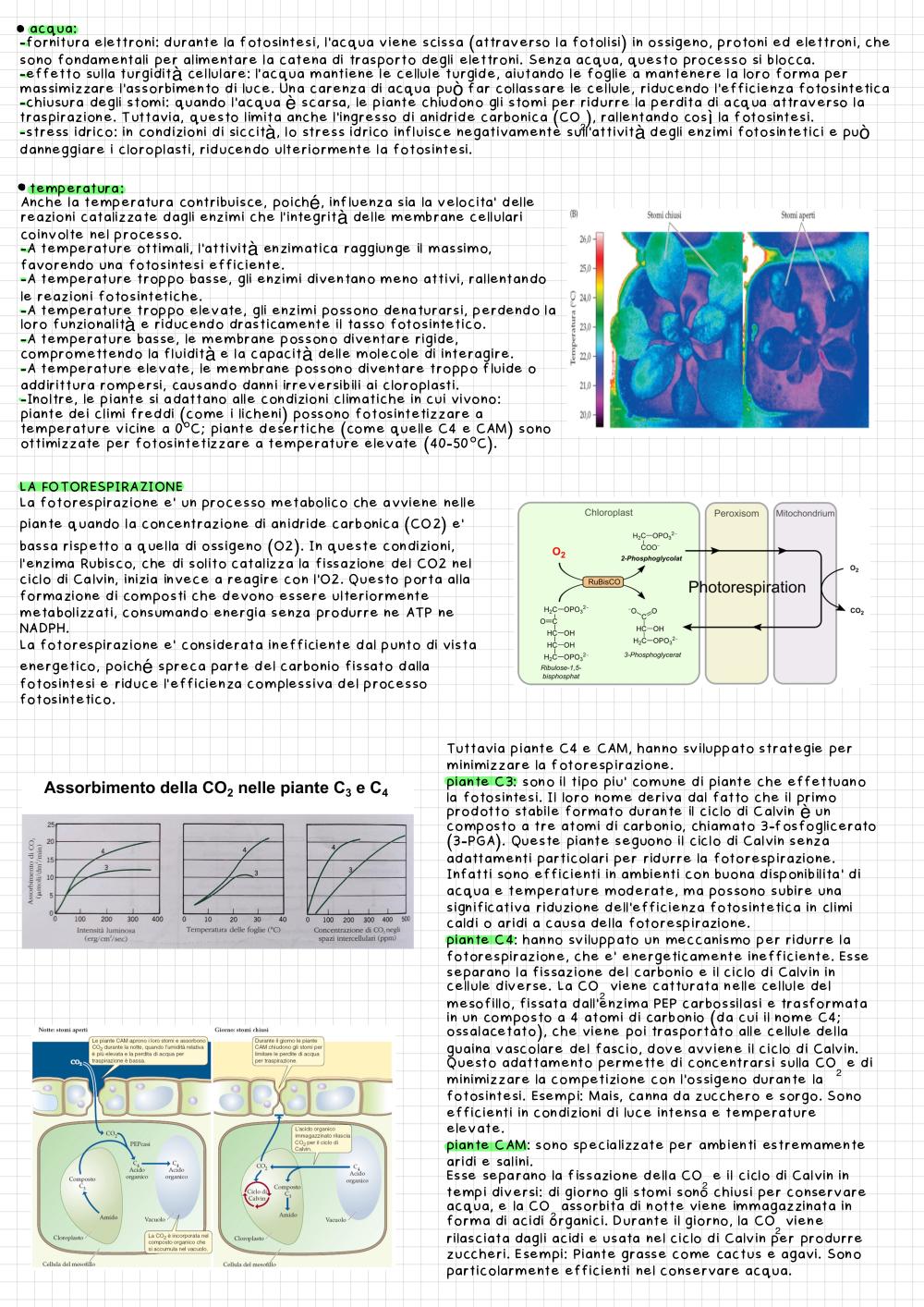 Preview documento per pagina 7