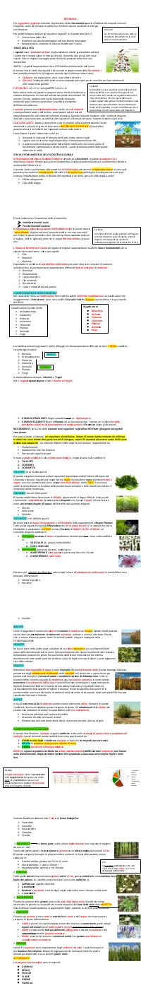 Preview documento per pagina 2