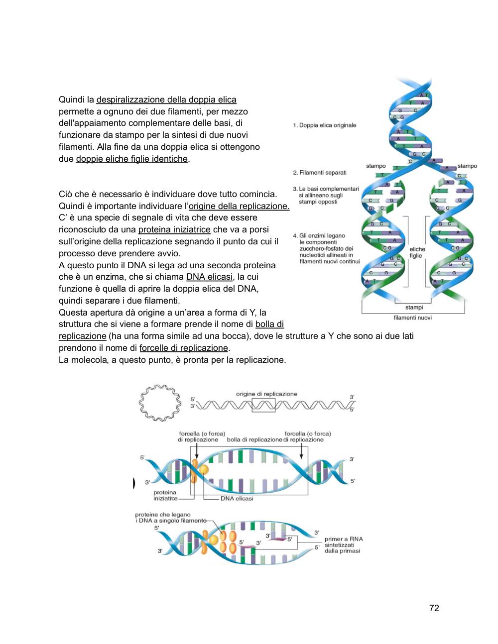 Preview documento per pagina 73