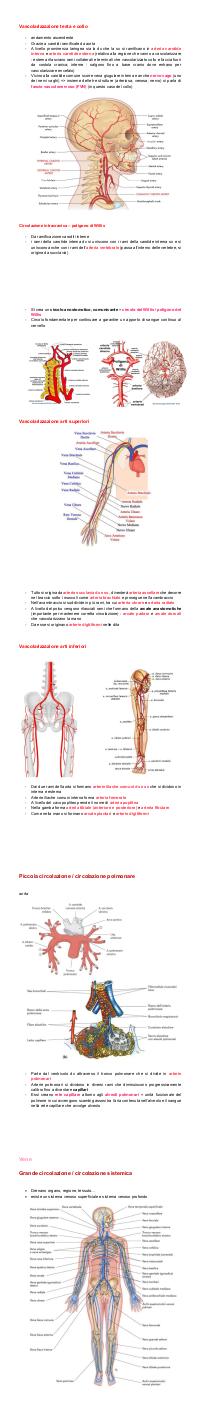 Preview documento per pagina 26