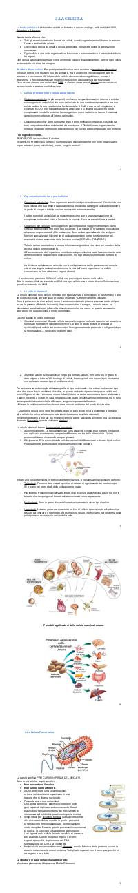 Preview documento per pagina 8