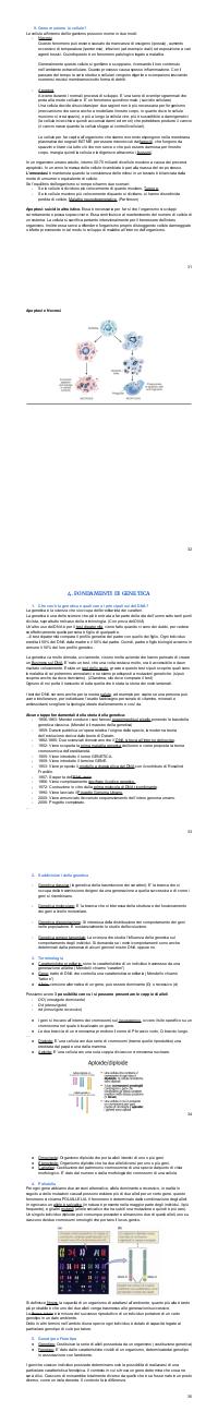 Preview documento per pagina 32