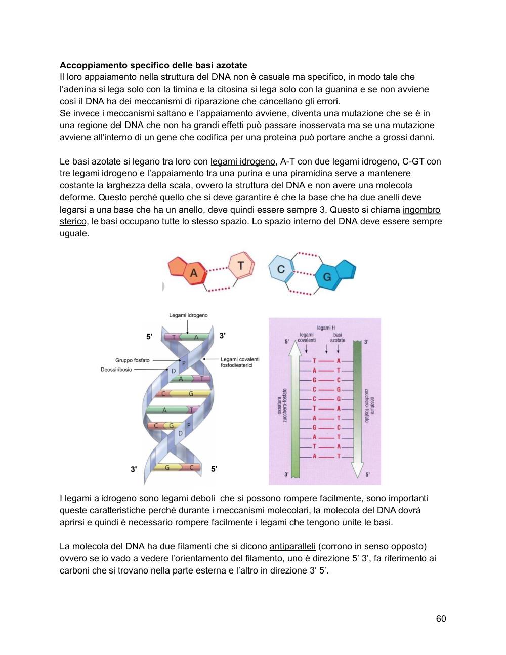 Preview documento per pagina 61