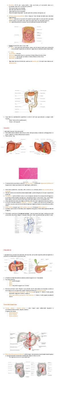 Preview documento per pagina 68