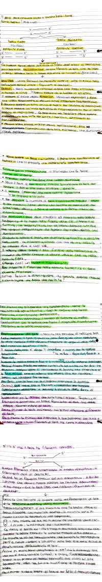 Preview documento per pagina 2