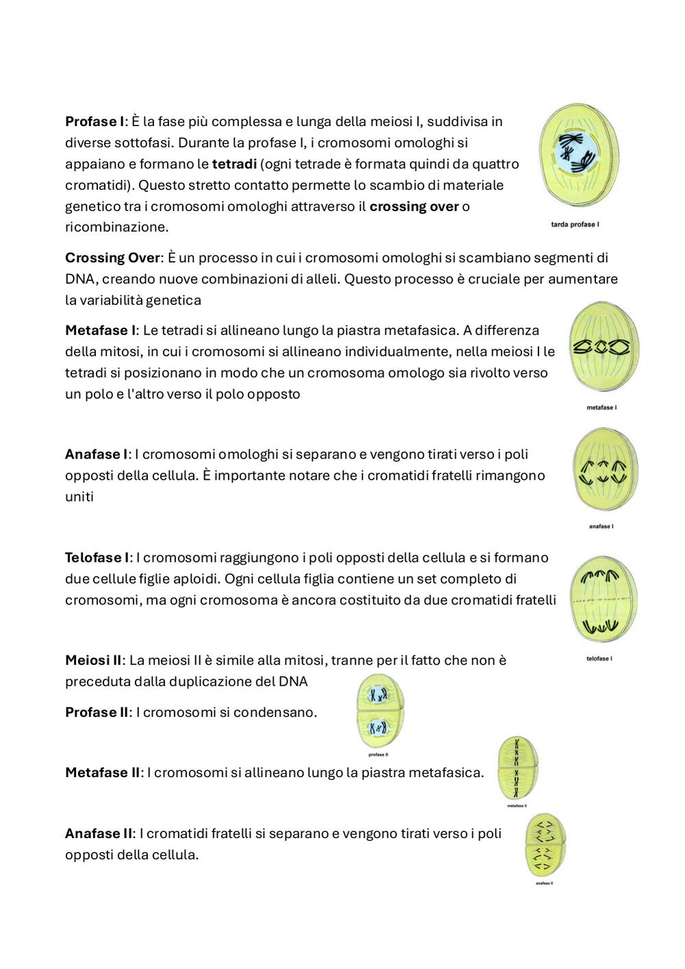 Preview documento per pagina 7