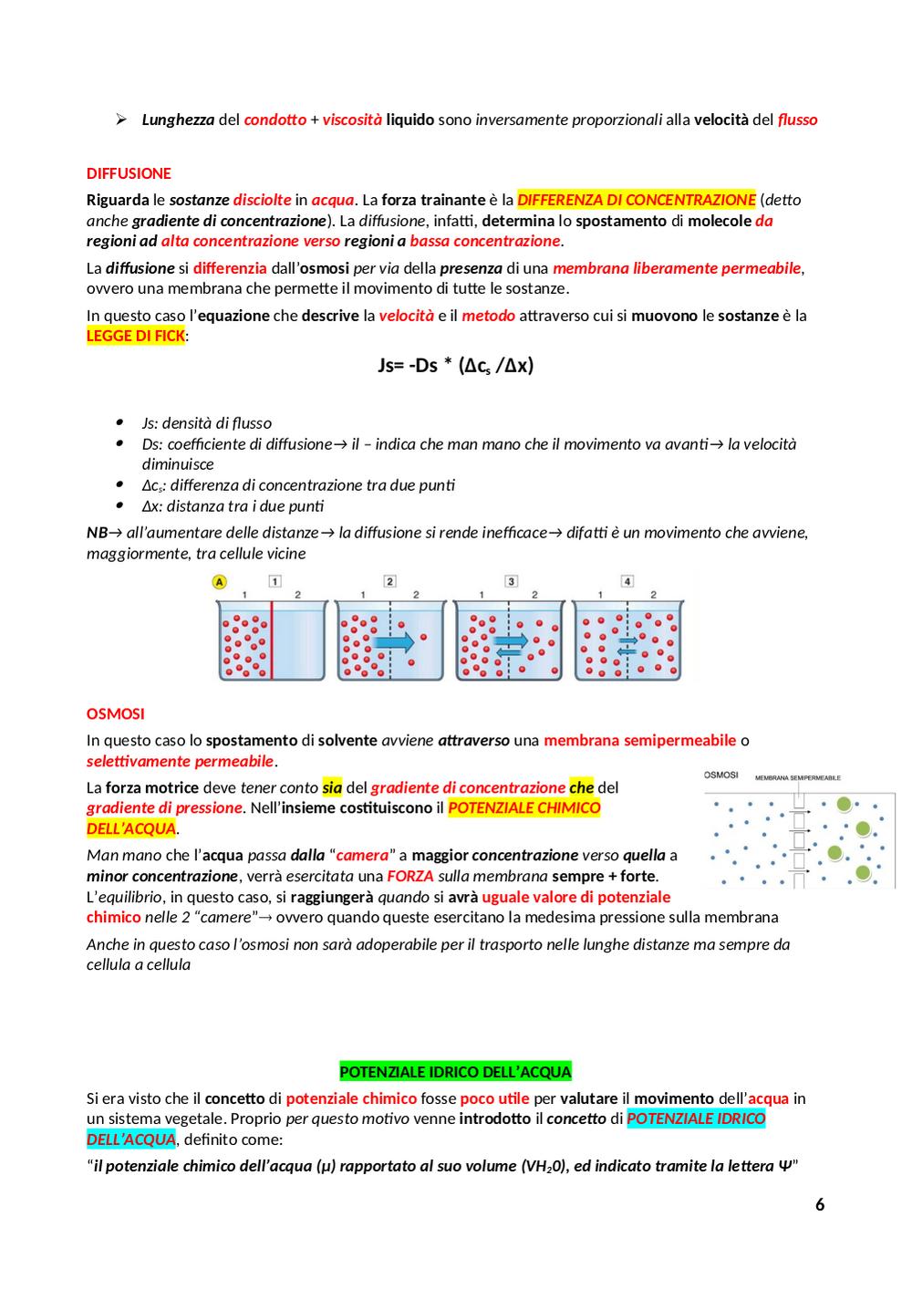 Preview documento per pagina 7