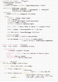 Preview documento per pagina 17