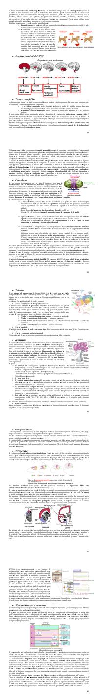 Preview documento per pagina 38