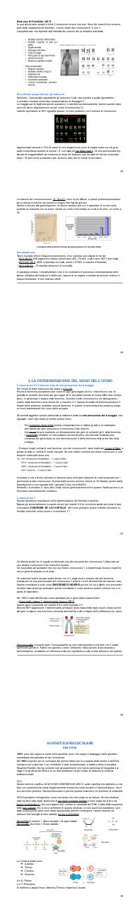 Preview documento per pagina 56