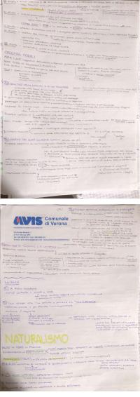 Preview documento per pagina 22